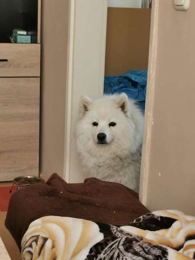 Leute aus Oberbayern?-Beitrag-Bild