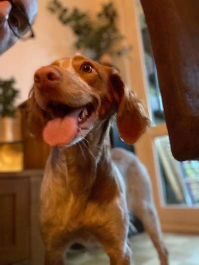 Handyfoto challenge Nr. 13: Waschlappen raus!-Beitrag-Bild