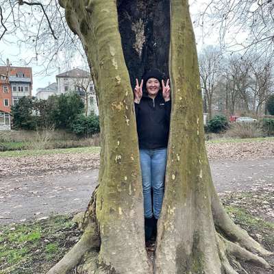 Hundetreffen-Suche einen Spielkameraden für Vito, der Spielkamerad sollte ungefähr im gleichen Alter sein