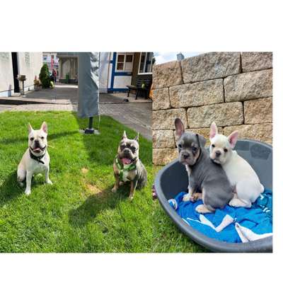 Sie werden so schnell groß!-Beitrag-Bild