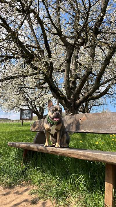 Fotowettbewerb Natur-Beitrag-Bild