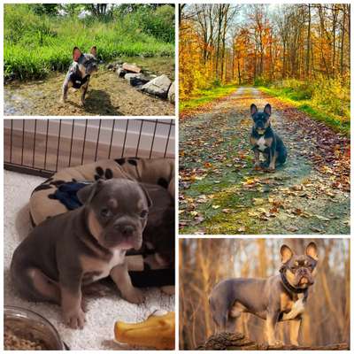 Sie werden so schnell groß!-Beitrag-Bild