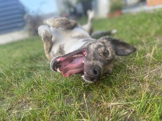 Zeigt eure Portraits-Beitrag-Bild