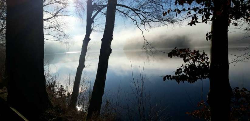 Die wunderschöne Welt mit Hund.-Beitrag-Bild
