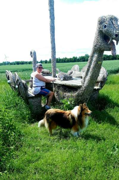 Dogorama Photo Challenge - Zufallsfund beim Gassi-Beitrag-Bild