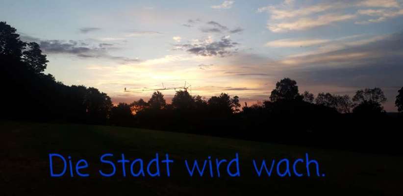 Die wunderschöne Welt mit Hund.-Beitrag-Bild