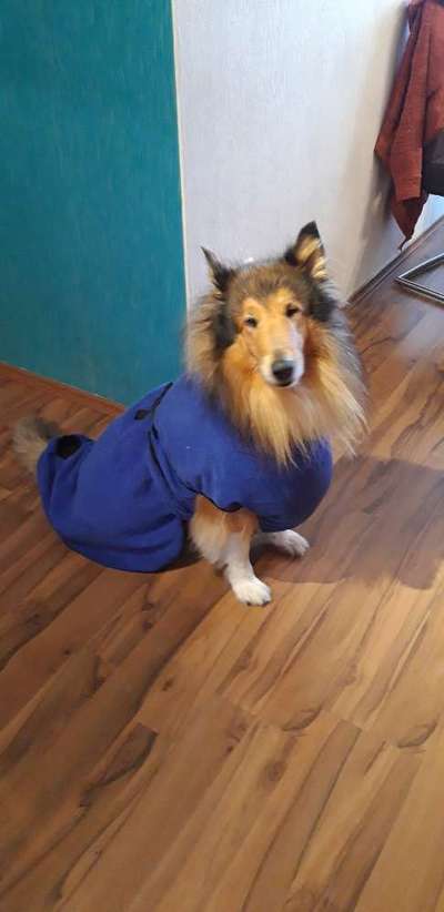 Fotochallenge Nr. 29 - Accessoires-Beitrag-Bild