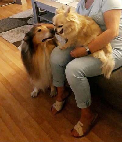 Dogorama Photo Challenge - Gegensätze-Beitrag-Bild