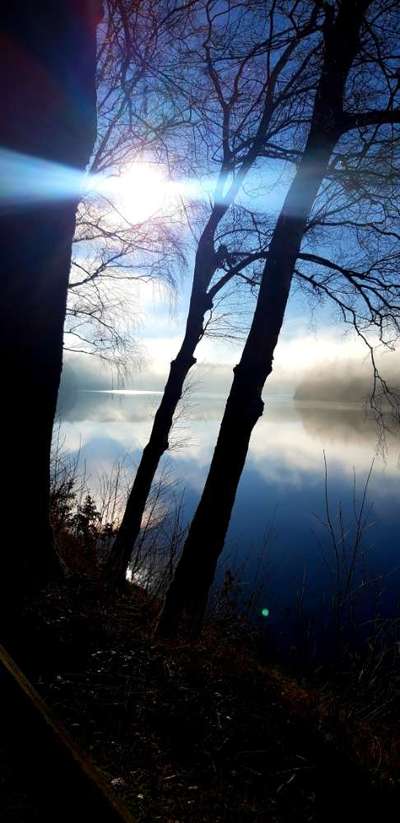 Die wunderschöne Welt mit Hund.-Beitrag-Bild