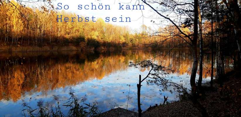 Die wunderschöne Welt mit Hund.-Beitrag-Bild