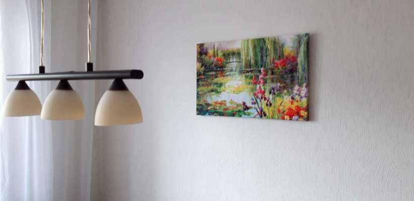 Die wunderschöne Welt mit Hund.-Beitrag-Bild