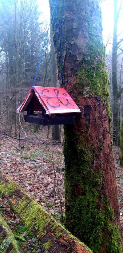 Die wunderschöne Welt mit Hund.-Beitrag-Bild