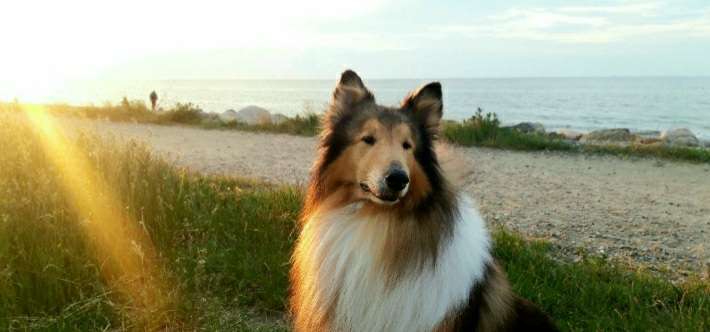 Fotochallenge Nr. 67: Euer Lieblingsbild-Beitrag-Bild