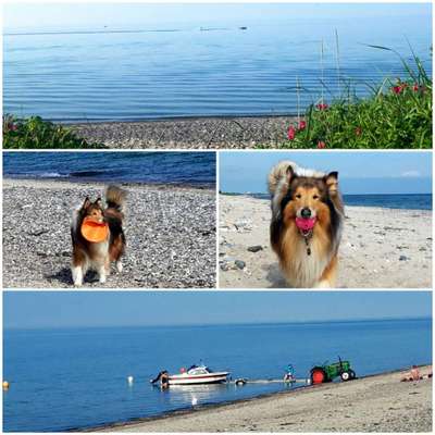 Urlaub Ost/Nordsee am Naturstrand-Beitrag-Bild