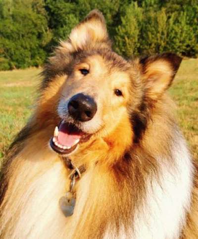 Fotochallange Nr. 57     PORTRÄT.   Beendet!!!!!!!!-Beitrag-Bild