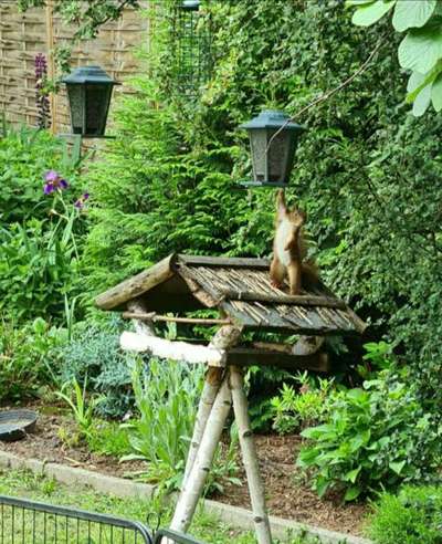Die wunderschöne Welt mit Hund.-Beitrag-Bild