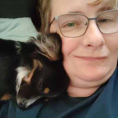 Hundetreffen-Sozialisieren u.Erfahrungsaustausch