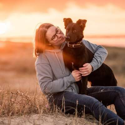 Hundetreffen-Gemeinsame Spaziergänge / Toberunden-Bild