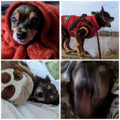 26. Handy Foto Challenge-Beitrag-Bild