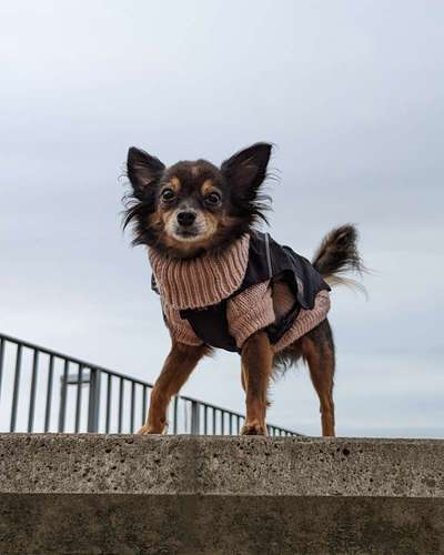 Zeigt eure Portraits-Beitrag-Bild