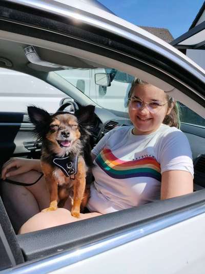 Das beste grinsefoto-Beitrag-Bild