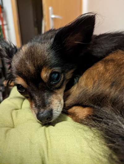 Doppelgänger gesucht !-Beitrag-Bild