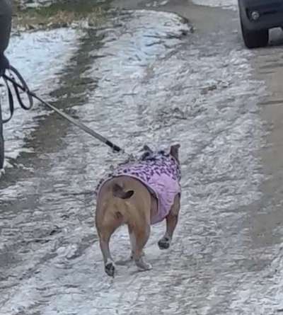 Beissvorfall Kletterfelsen/Eichenpark-Beitrag-Bild