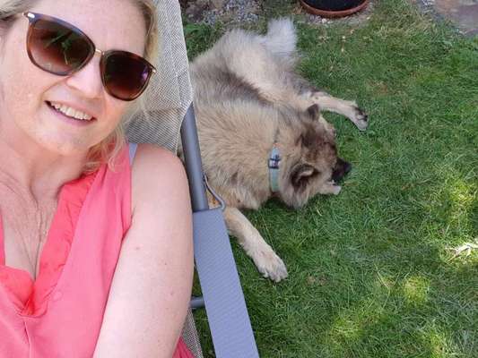 Eurasier hier?-Beitrag-Bild