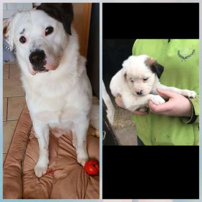 Vorher.... Nachher-Beitrag-Bild