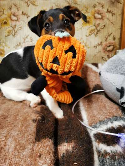 Lieblingsbild :D-Beitrag-Bild