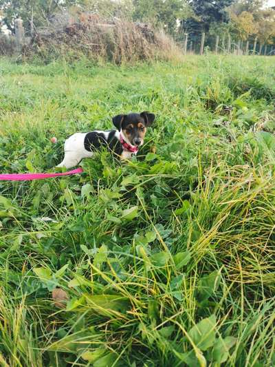 Erstes Bild-Beitrag-Bild