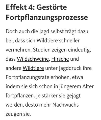 Ist Treibjagd noch zeitgemäß und mit "Hundeliebe" vereinbar?-Beitrag-Bild