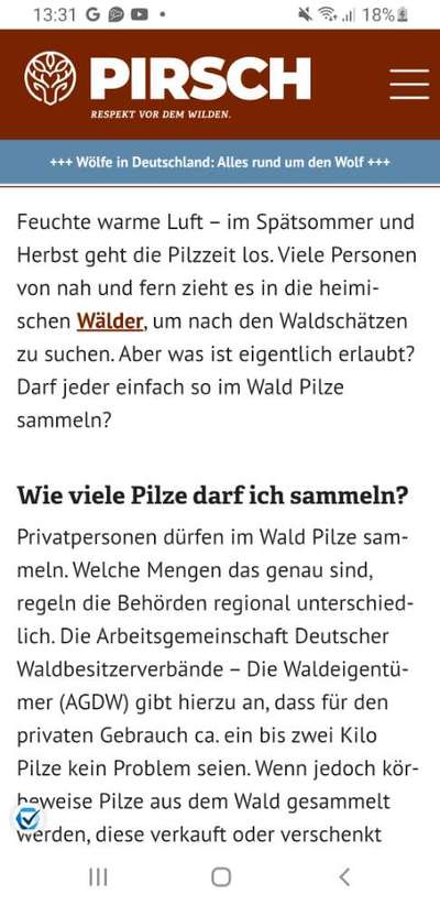 Ist Treibjagd noch zeitgemäß und mit "Hundeliebe" vereinbar?-Beitrag-Bild