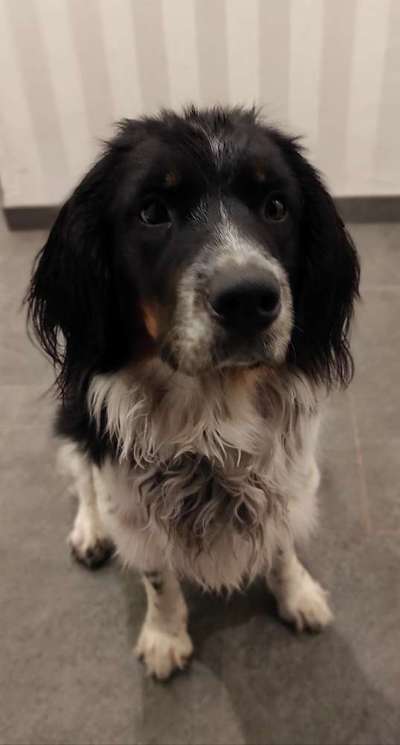 Fotochallange Nr. 57     PORTRÄT.   Beendet!!!!!!!!-Beitrag-Bild