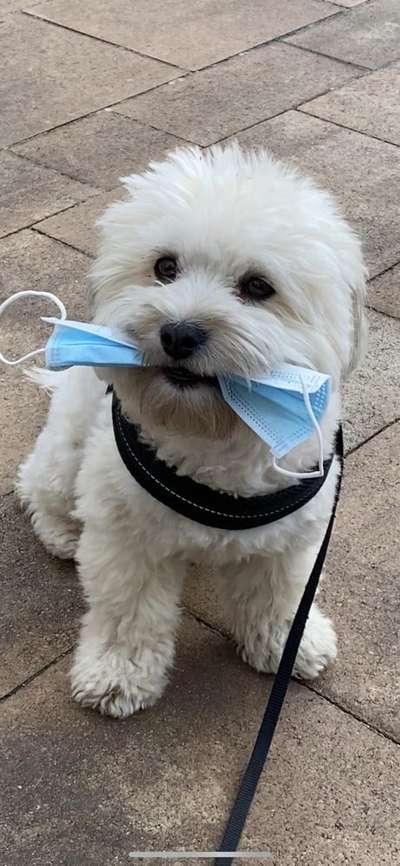 Fotochallenge Nr. 64-Beitrag-Bild