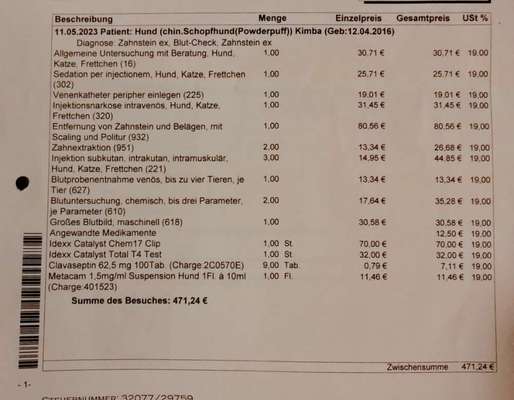 Kosten einfache Zahnreinigung-Beitrag-Bild