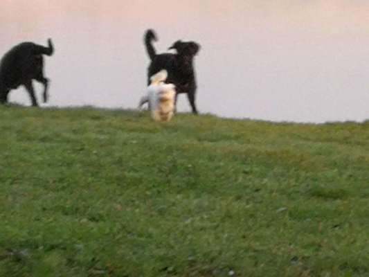 Un...scharf Bilder-Beitrag-Bild