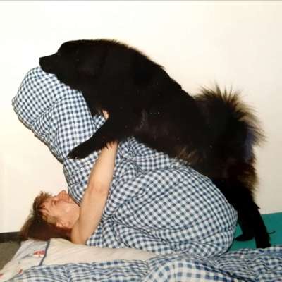 Challenge 30  Freundschaft-Beitrag-Bild