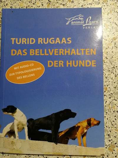 Hund bellt bei Dunkelheit-Beitrag-Bild