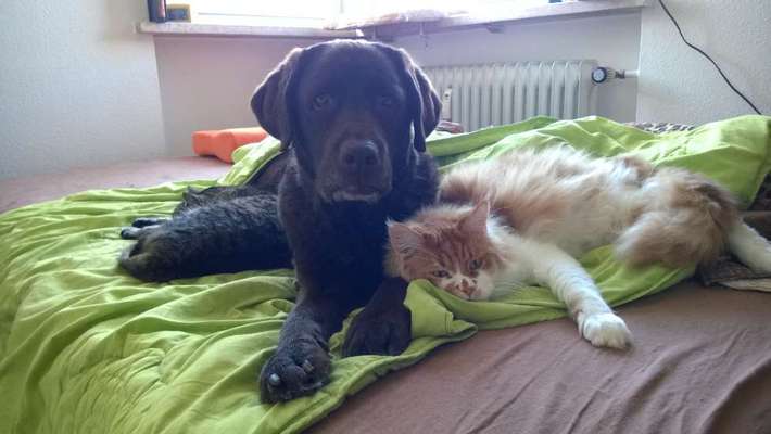 Challenge 30  Freundschaft-Beitrag-Bild