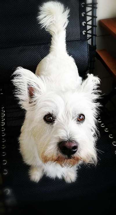 Handy-Foto Challange Nr. 10-Beitrag-Bild