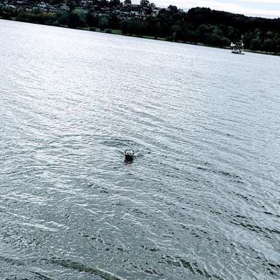 Eure Strandbilder :)-Beitrag-Bild