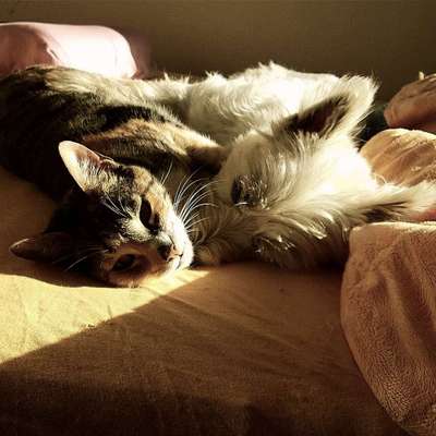 Challenge 30  Freundschaft-Beitrag-Bild