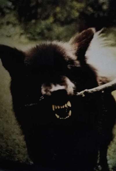 Handy-foto Challange nr. 11-Beitrag-Bild