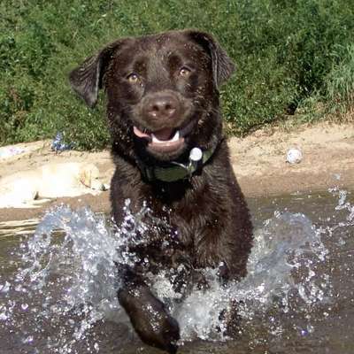 Fotochallenge 27-Beitrag-Bild