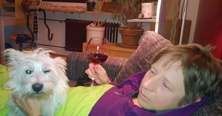 Herrchen oder Frauchen-Ähnlichkeit mit dem  Hund-Beitrag-Bild