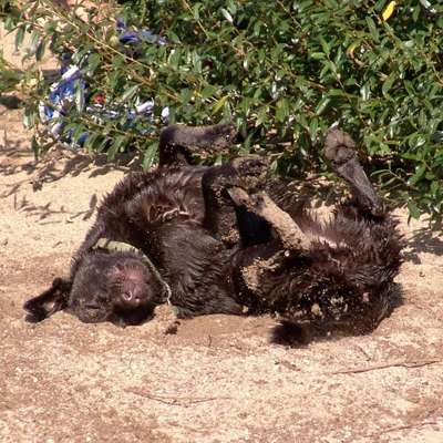 Eure Strandbilder :)-Beitrag-Bild