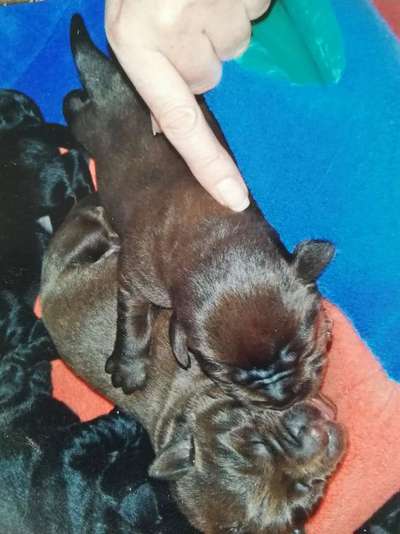 Erstes Bild-Beitrag-Bild