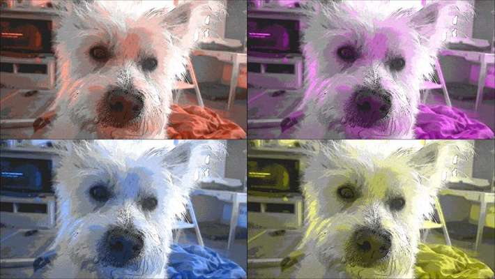 Der Hund als Cartoon-Beitrag-Bild