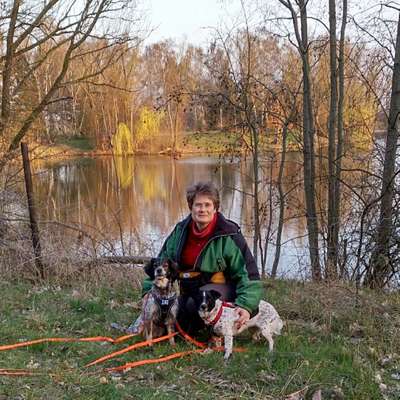 Hundetreffen-Im Rudel Gassi gehen